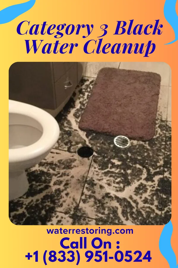 Category 3 Black Water Cleanup in Keewatin, MN