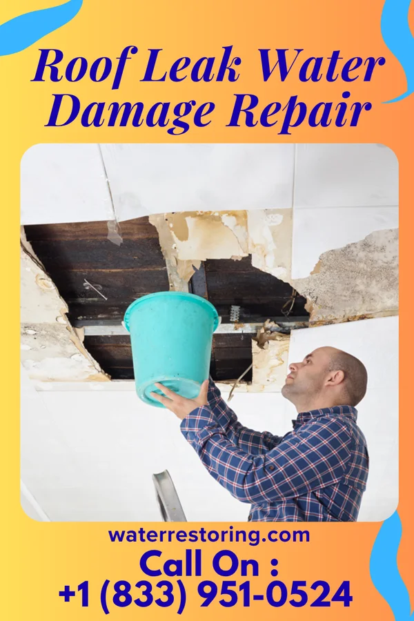 Roof Leak Water Damage Repair in Keewatin, MN